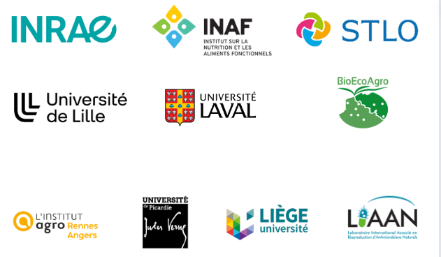 Logo lab organizers